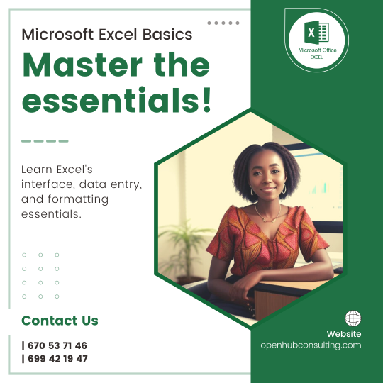 Microsoft Excel Basics