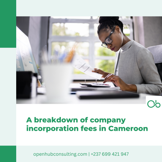 A breakdown of company incorporation fees in Cameroon